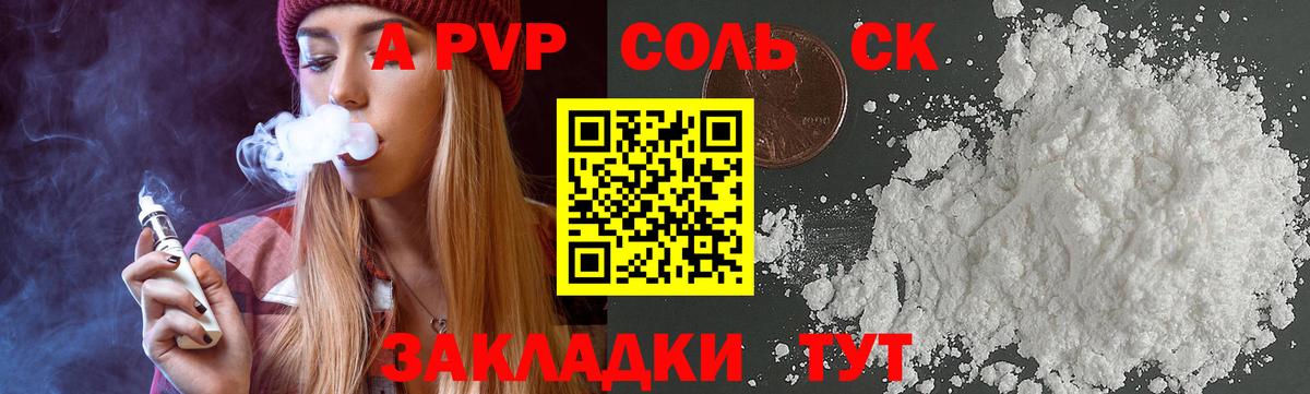 Альфа ПВП СК Новодвинск