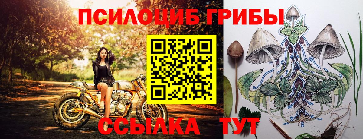 Галлюциногенные грибы MAGIC MUSHROOMS Новодвинск