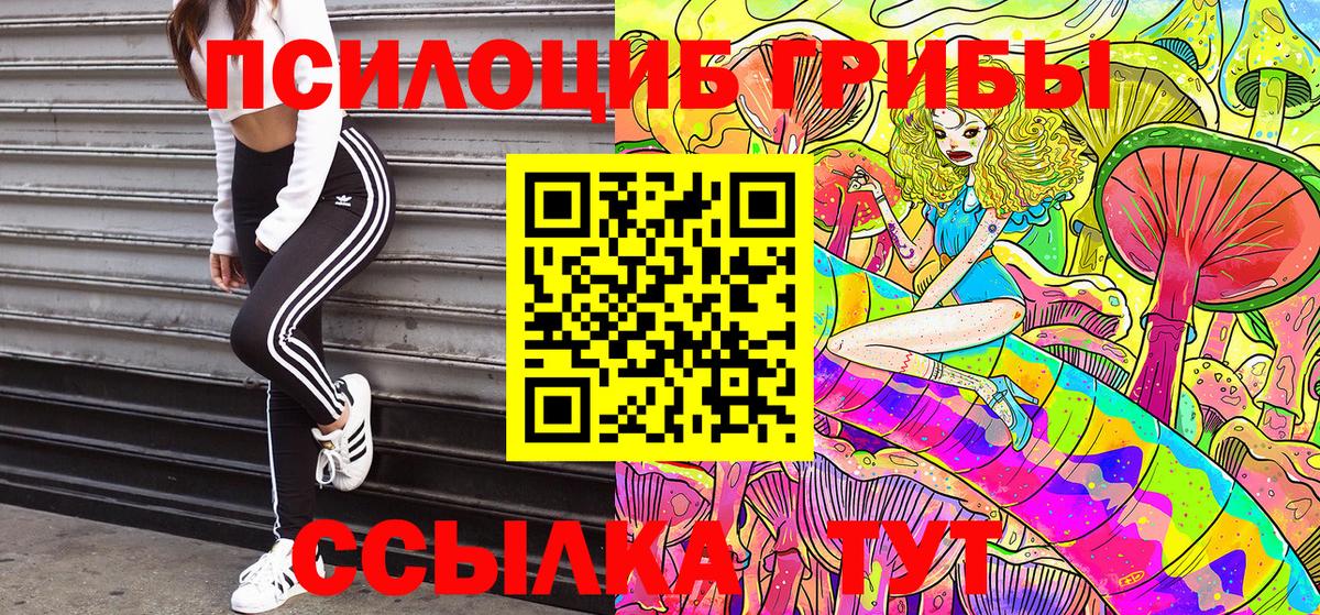 Псилоцибиновые грибы Psilocybe  Вход с VPN  Новодвинск 